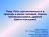 Роль пресмыкающихся в природе и жизни человека. Охрана пресмыкающихся. Древние пресмыкающиеся