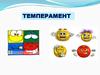 Темперамент. Особенности типов темперамента