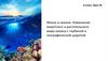 Жизнь в океане. Изменение животного и растительного мира океана с глубиной и географической широтой