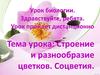 Строение и разнообразие цветков. Соцветия