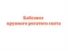 Бабезиоз крупного рогатого скота