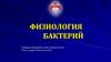 Физиология бактерий
