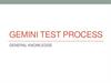 Gemini test process