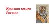Красная книга России. Что такое красная книга?