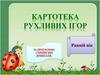 Картотека рухливих ігор