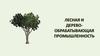 Лесная и деревообрабатывающая промышленность