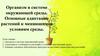 Организм в системе окружающей среды. Основные адаптации растений к меняющимся условиям среды