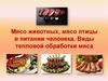 Мясо животных, мясо птицы в питании человека. Виды тепловой обработки мяса