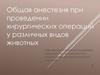 Общая анестезия при проведении хирургических операций у различных видов животных
