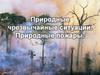 Природные чрезвычайные ситуации. Природные пожары
