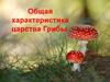 Общая характеристика царства Грибы