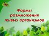 Формы размножения живых организмов