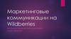 Маркетинговые коммуникации на Wildberries