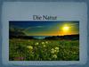 Die Natur