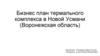 Бизнес план термального комплекса в Новой Усмани (Воронежская область)