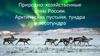 Природно-хозяйственные зоны России. Арктическая пустыня, тундра и лесотундра
