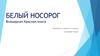 Белый носорог. Всемирная Красная книга