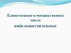 Единственное и множественное число имён существительных