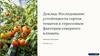 Доклад: Исследование устойчивости сортов томатов к стрессовым факторам северного климата