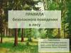 Правила  безопасного поведения в лесу