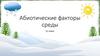 Абиотические факторы среды
