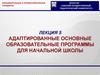 Лекция 5. Адаптированные основные образовательные программы для начальной школы