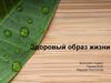 Здоровый образ жизни