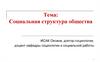 Социальная структура общества