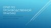 Отчет по производственной практике на базе ООО «Позитив»