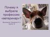 Почему я выбрала профессию «ветеринар»?