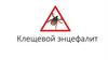 Клещевой энцефалит