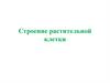 Строение растительной клетки. Органы растений