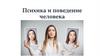 Психика и поведение человека
