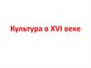 Культура в XVI веке