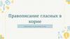 Правописание гласных в корне. Практикум по русскому языку