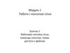 Файловая система Linux, команды консоли, права доступа к файлам. Занятие 2