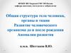 Общая структура тела человека, органы и ткани. Развитие человеческого организма до и после рождения. Аномалии развития