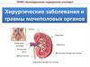 Хирургические заболевания и травмы мочеполовых органов