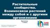 Растительные сообщества. Взаимосвязи растений между собой и с другими организмами