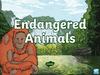 Endangered Animals