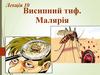 Висипний тиф. Малярія. Лекція 10