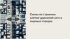 Схемы по строению улично-дорожной сети в мировых городах