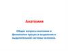 Общие вопросы анатомии и физиологии процесса выделения и выделительной системы человека