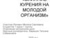 Влияние курения на молодой организм