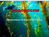 Водоросли. Место водорослей среди растений. 7 класс