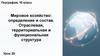 Мировое хозяйство: определение и состав. Отраслевая, территориальная и функциональная структура