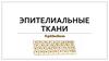 Эпителиальные ткани (Epithelium)