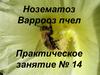 Нозематоз. Варрооз пчел. Практическое занятие №14