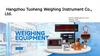 Hangzhou Tuoheng Weighing Instrument Co., Ltd
