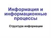 Информация и информационные процессы. Структура информации